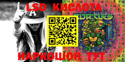 тгк Бердск