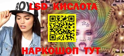 тгк Бердск