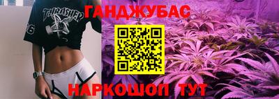 тгк Бердск