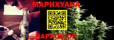 тгк Бердск