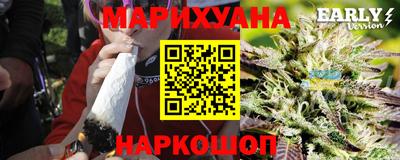 тгк Бердск