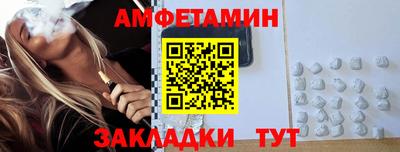 тгк Бердск