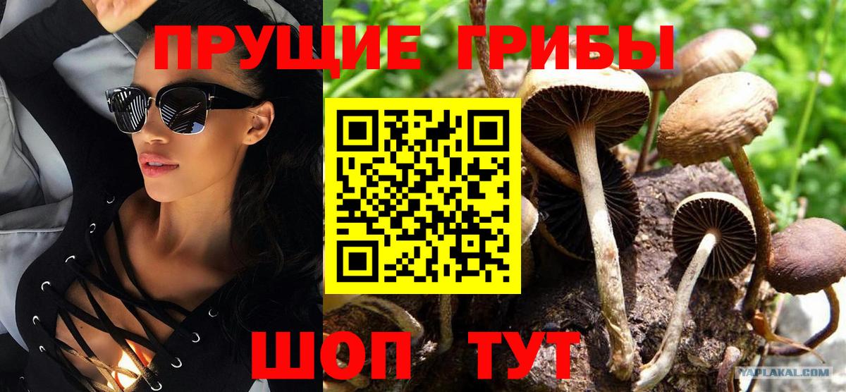 Псилоцибиновые грибы мухоморы Гурьевск