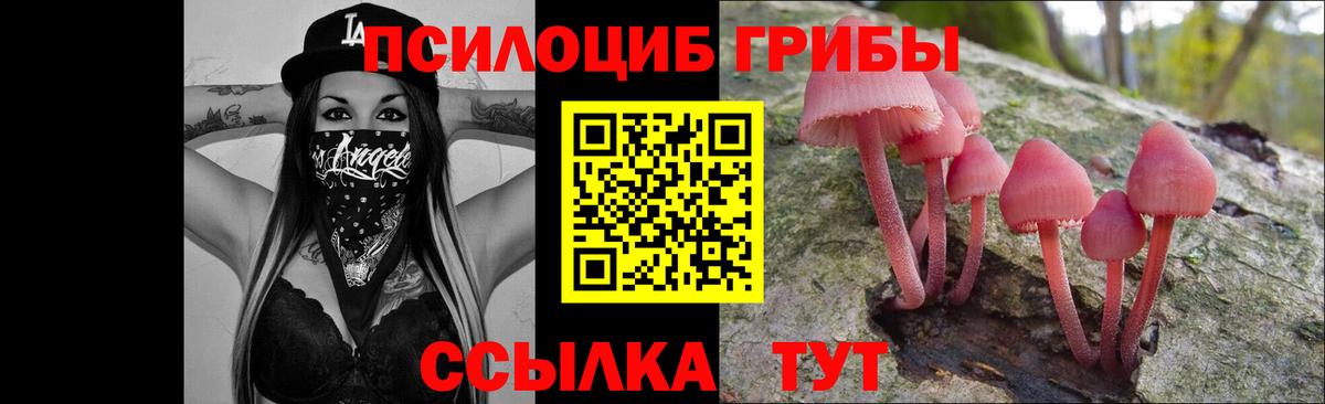 Галлюциногенные грибы ЛСД  Вход с VPN  Гурьевск 
